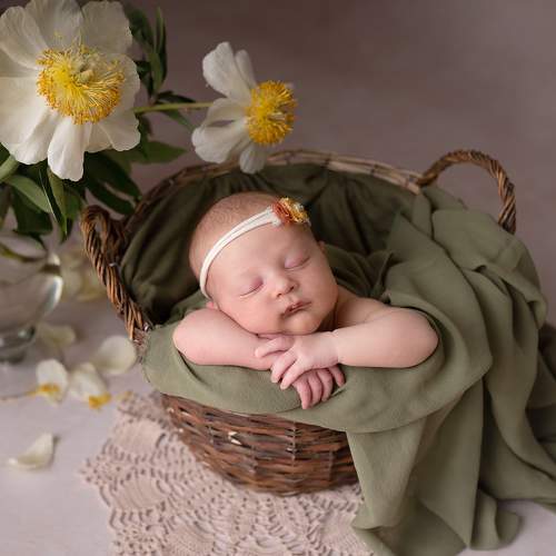 Photo #6404601