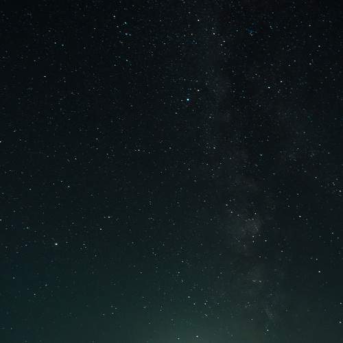 Photo #6404602