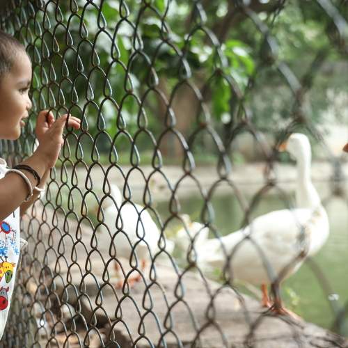 Photo #6404842