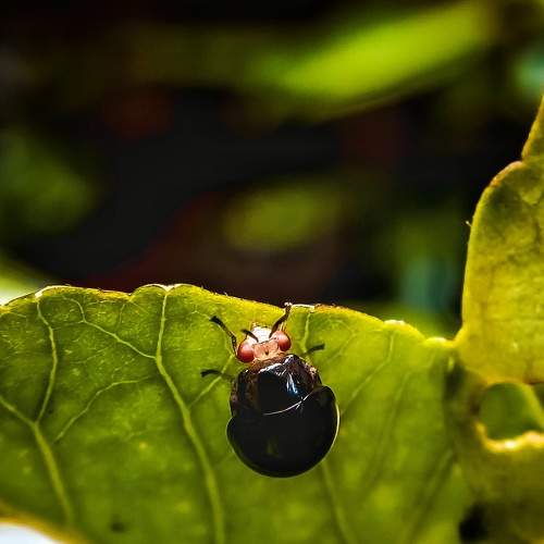 Photo #6404845