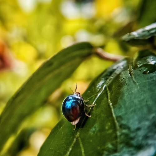 Photo #6404850