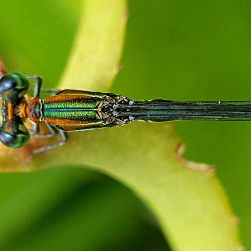 Photo #6405138