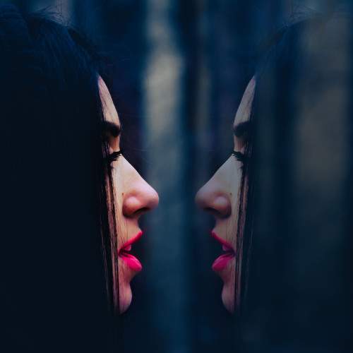 Photo #6405200