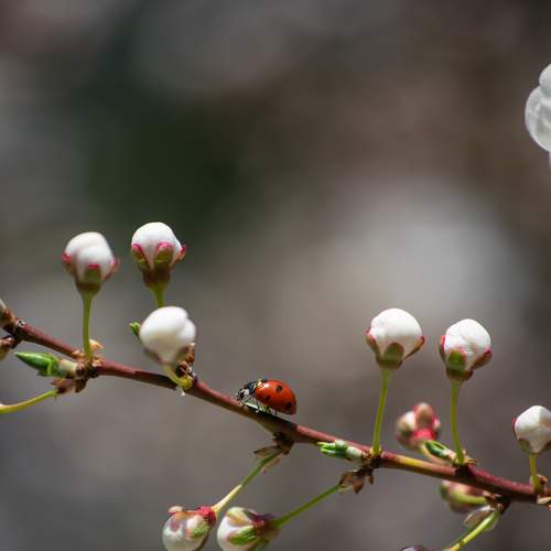 Photo #6405563