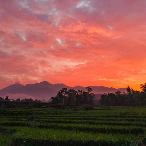 Sunset