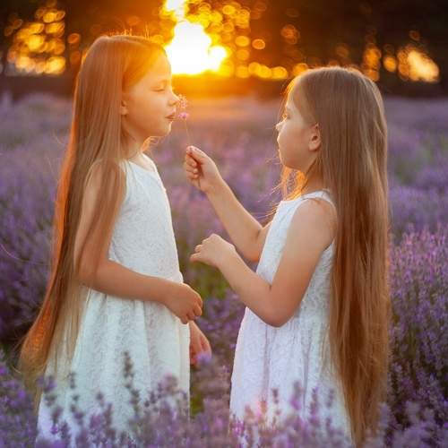 Photo #6406065