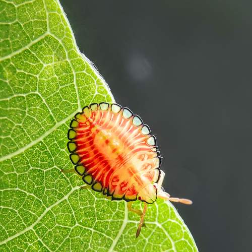 Photo #6406478