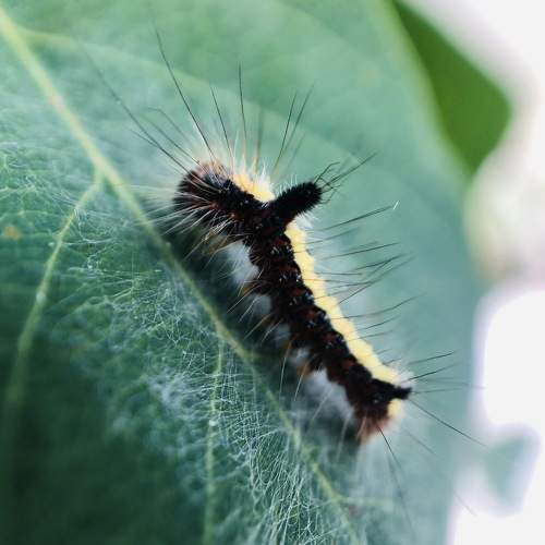 Photo #6406898