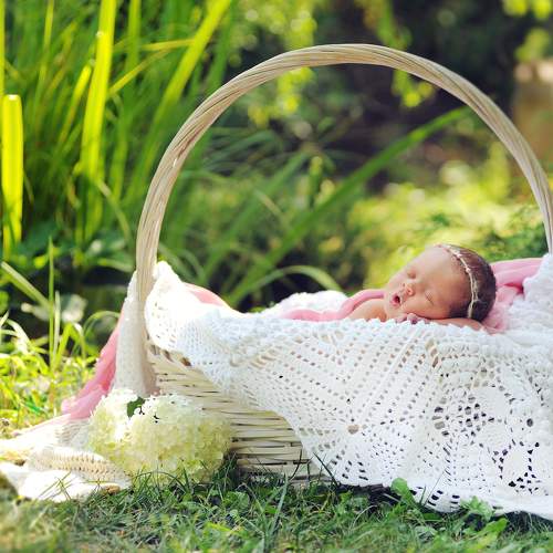 Photo #6407128