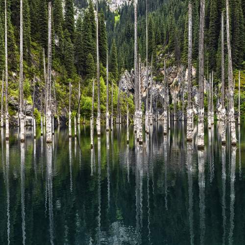 Photo #6407171