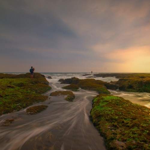 Photo #6407397