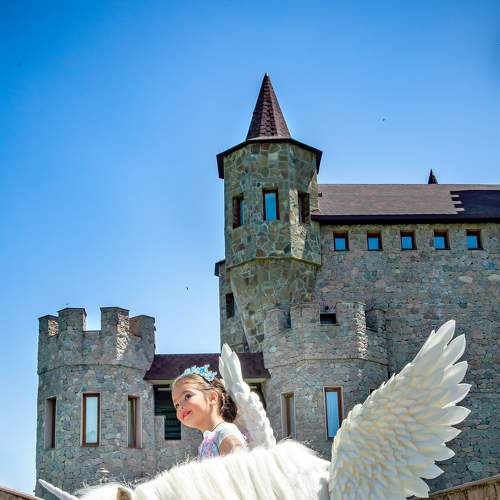 Photo #6407611