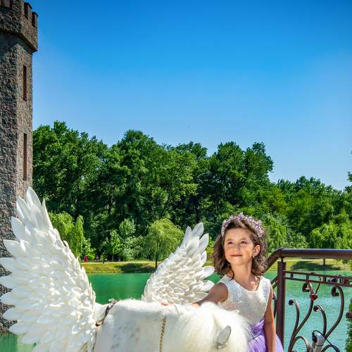 Photo #6407614