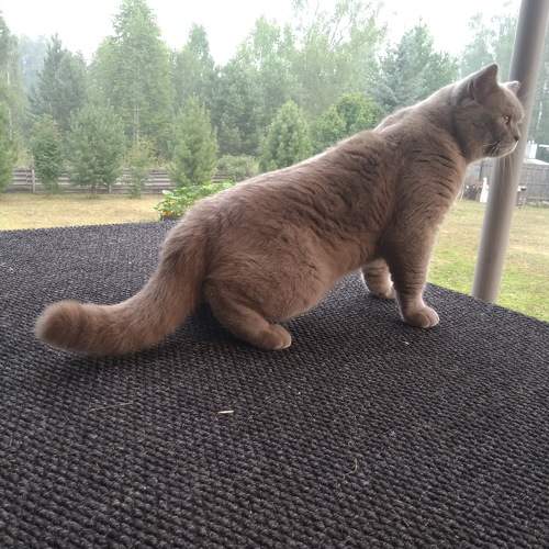 Photo #6407886