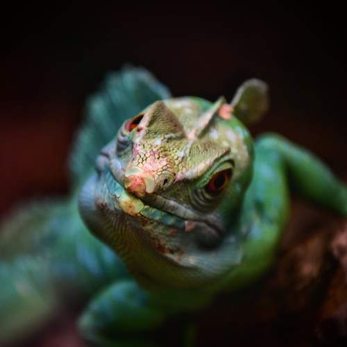 Photo #6408198