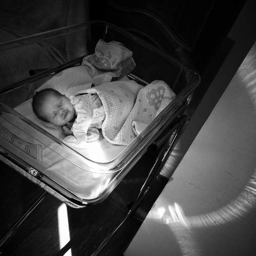 Photo #6408259