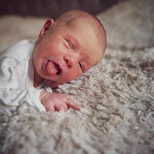 Photo #6408260