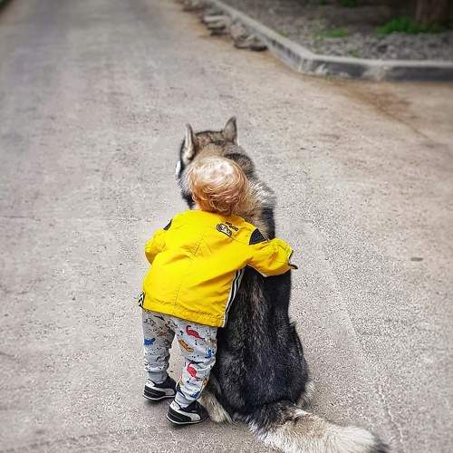Photo #6408551