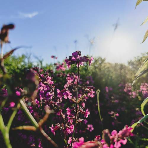 Photo #6408654