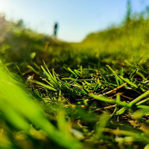 Photo #6408665