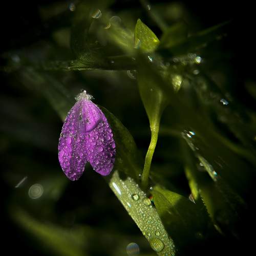 Photo #6408667