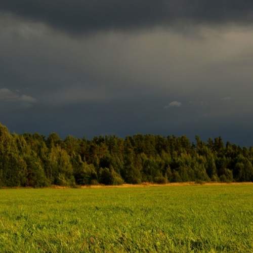 Photo #6408768