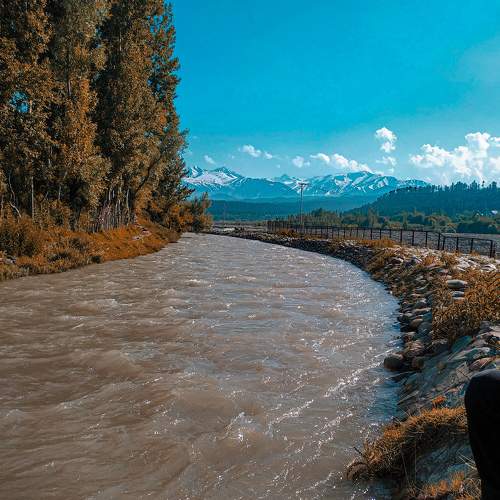 Photo #6408894