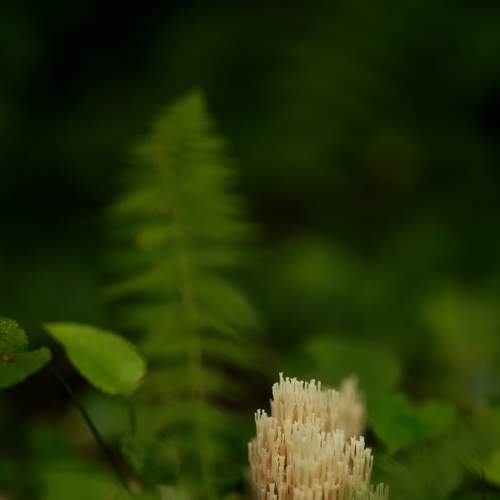 Photo #6408896