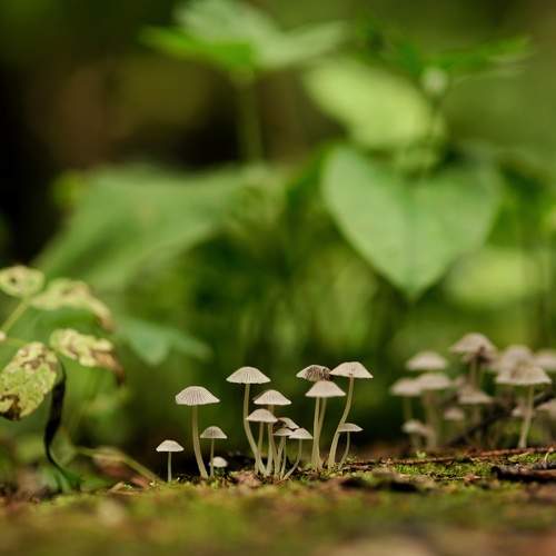 Photo #6408898