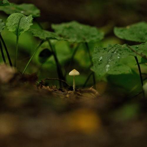 Photo #6408901