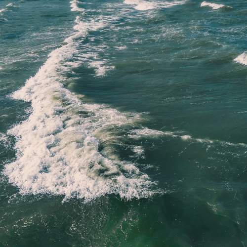 Photo #6409010