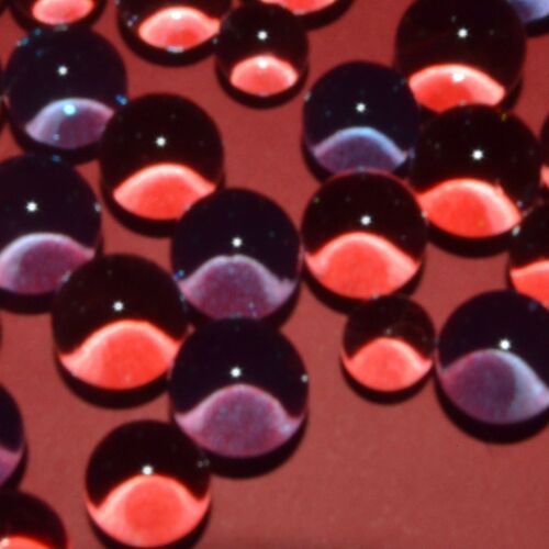Photo #6409447