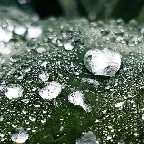 Photo #6409887