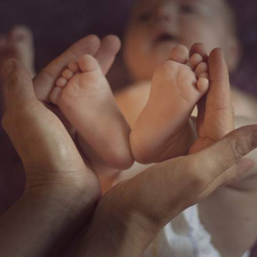 Photo #6410011