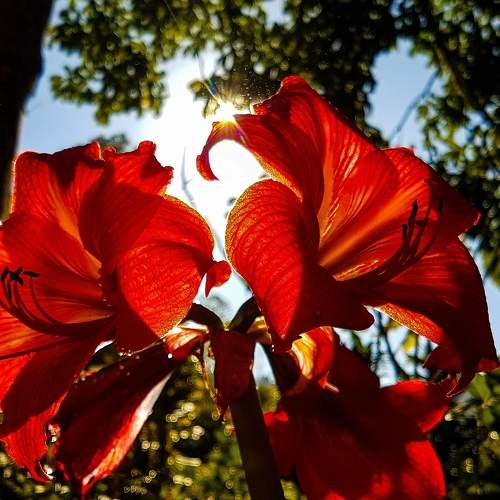 Photo #6410429