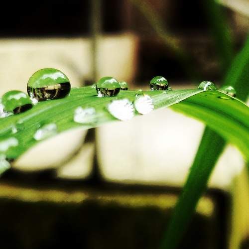 Photo #6410654