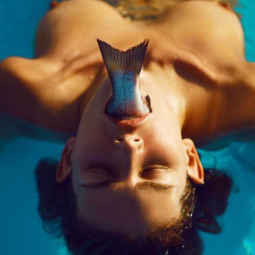 Photo #6410815