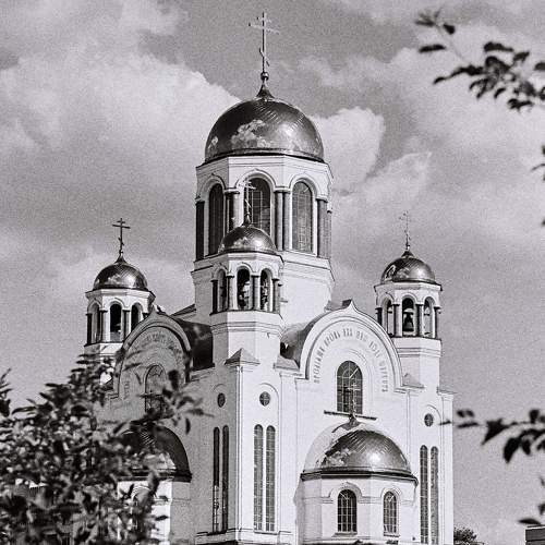 Photo #6410882