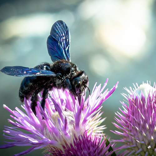 Photo #6410945