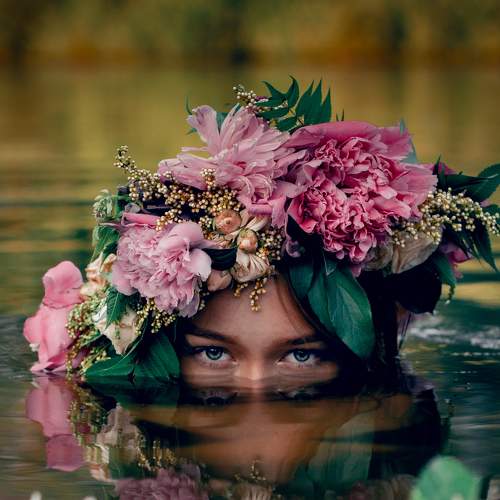 Photo #6411119