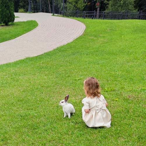 Photo #6411406