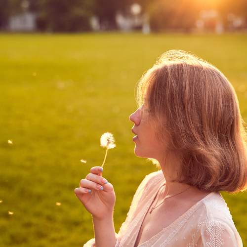 Photo #6411645