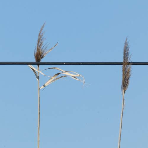 Photo #6411980