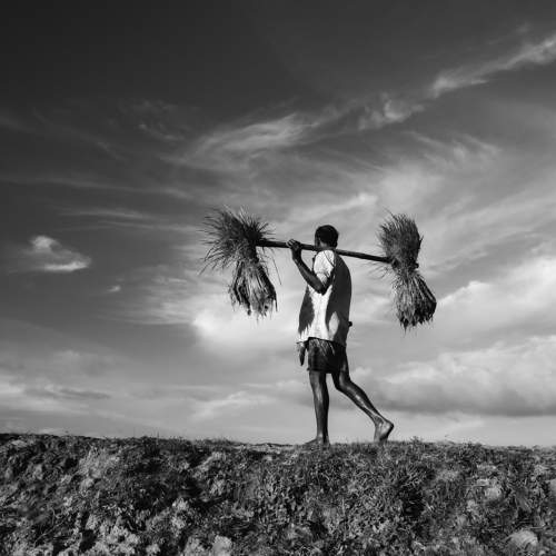 Portrait of Rural Strength
