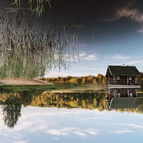 Photo #6412282