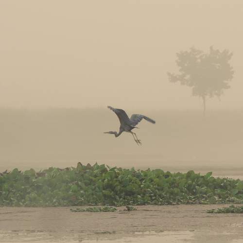 Photo #6412300