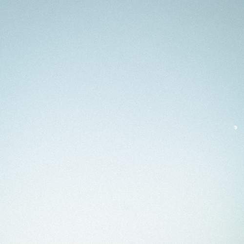 Photo #6413118