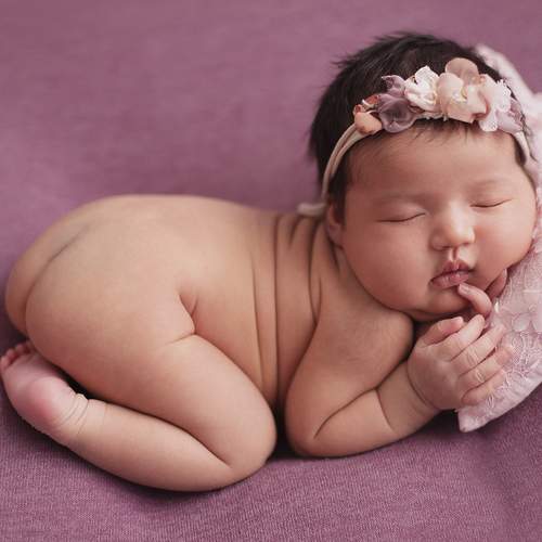 Photo #6413285