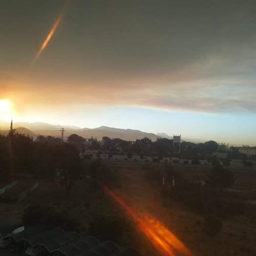 Photo #6413379