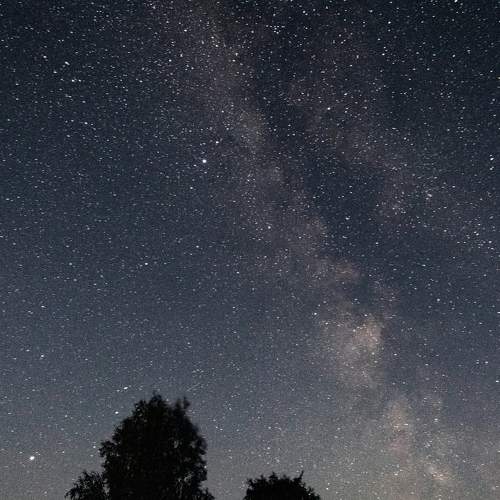 Photo #6413417